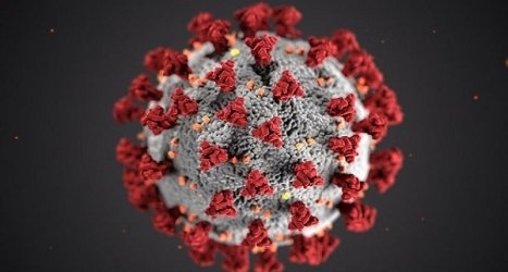 4979 са новите случаи на коронавирус за вчерашния ден